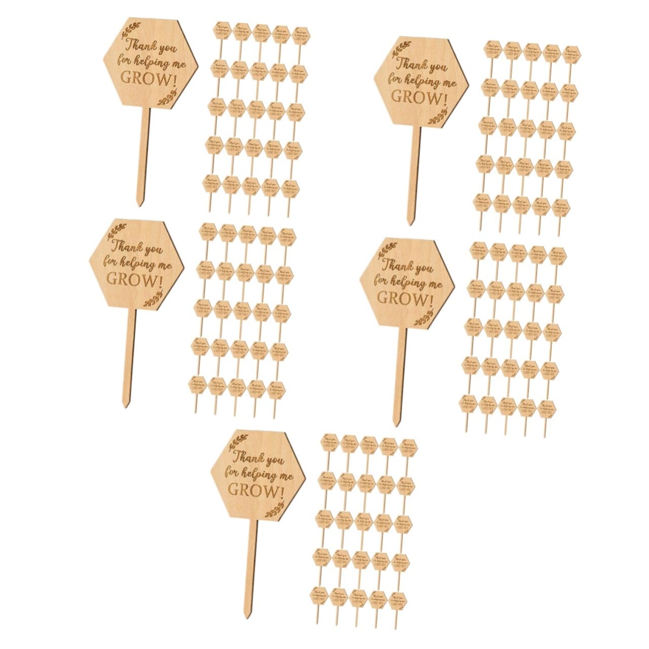 TOYANDONA 5 Sätze Holzetikett Saftige Etiketten Name Gartenmarkierung Outdoor- Kräuterbezeichnungen Pflanzenidentifikationsetikett Gartenpflanzenmarker Holzpflanzenmarker 40 Stück * 5