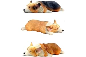 Adorable Corgi Fridge Magnets: A Delight for Corgi Enthusiasts