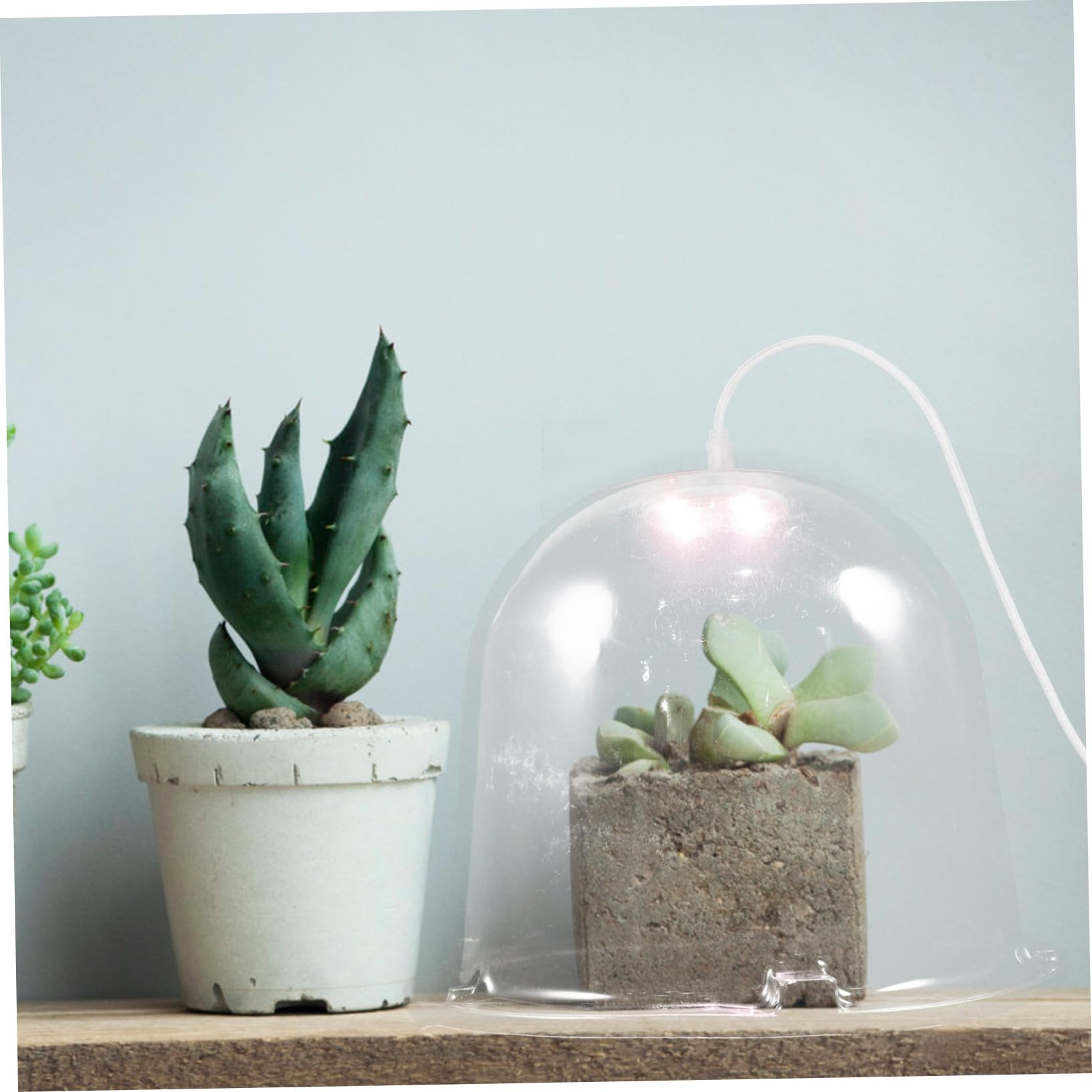 De Transparente con Luz Led Cubierta Protectora Reutilizable para Jardín Invernadero Mini para De para Protección Invierno