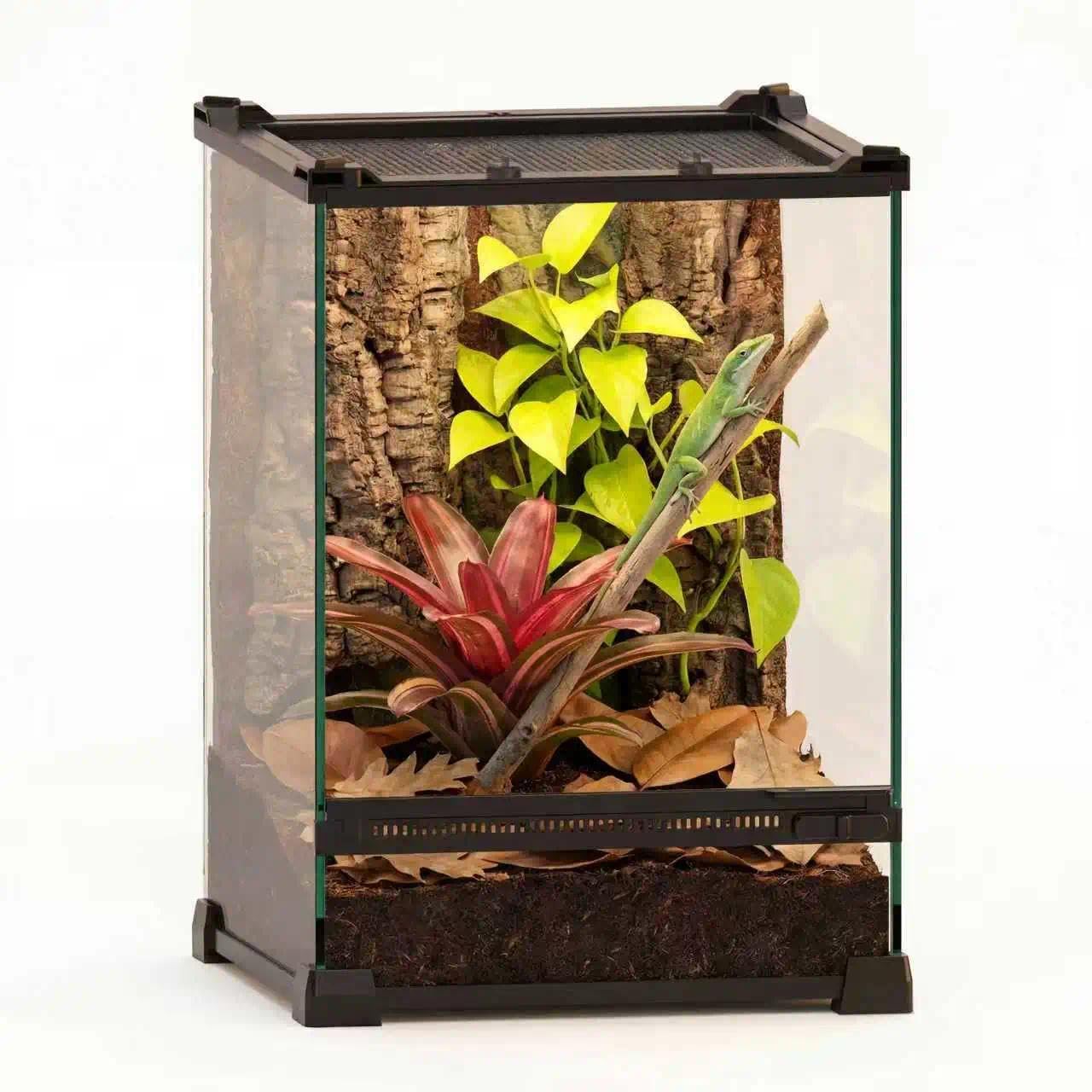 NEPTONION 10"x10"x14" Reptile Terrarium, Single-Door Glass Arboreal Vivarium for Small Arboreal Lizards Such as Juvenile Green Anoles, with Lock, Cable Port & Waterproof Deep Base Below Front Door