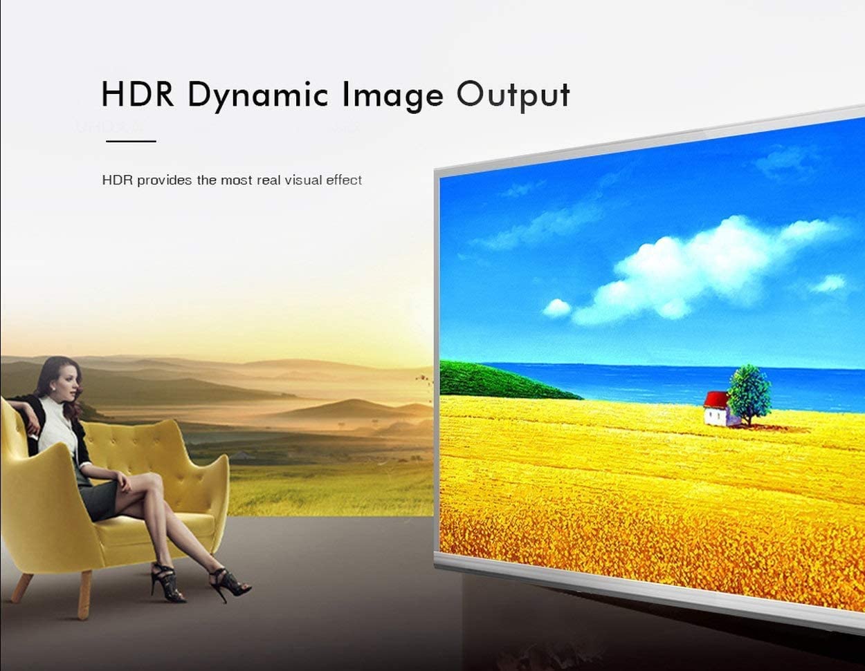 Premium Cord HDMI 2.0 Répartiteur 1-8 connecteurs 4K x 2K / 60Hz Full HD 3D Noir