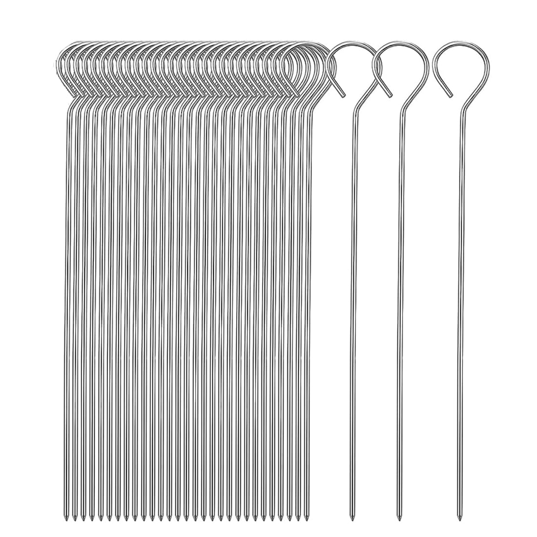 Set 20 Spiedini in Acciaio 24.5cm, Stuzzicadenti Barbecue Lunghi, Perfetti per Panettone, Falò, Grill per Marshmallow, Cioccolato, Spuntini e Verdure.