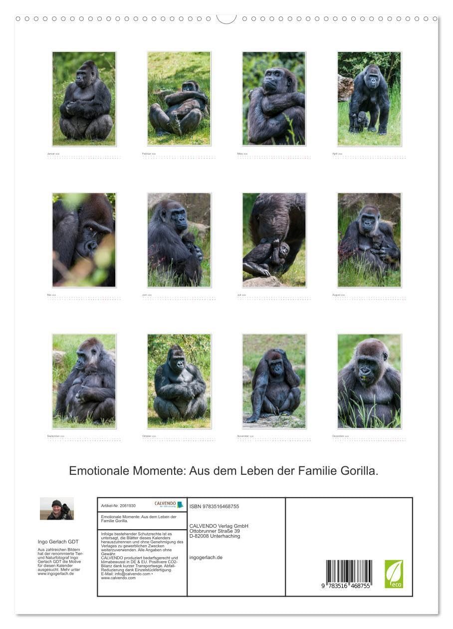 Emotionale Momente: Aus dem Leben der Familie Gorilla. (hochwertiger Premium Wandkalender 2026 DIN A2 hoch), Kunstdruck in Hochglanz: Zauberhafte ... von Ingo Gerlach GDT. (CALVENDO Tiere)