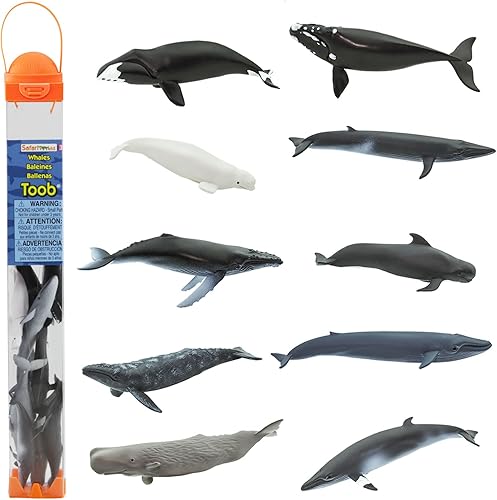 Safari Ltd. Whale TOOB - Juego de figuras detalladas de plástico de 2.5 a 4 pulgadas, divertido juguete educativo de animales oceánicos para niños,