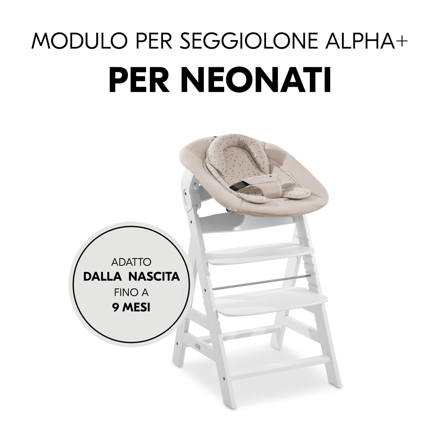 hauck Alpha Bouncer 2in1, Disney Winnie the Pooh - Sdraietta Neonato con Base Dondolo Compatibile con Seggioloni Pappa Alpha+ e Beta+ da 0 Mesi fino a 9 kg con Cintura a 3 Punti e Riduttore di Seduta