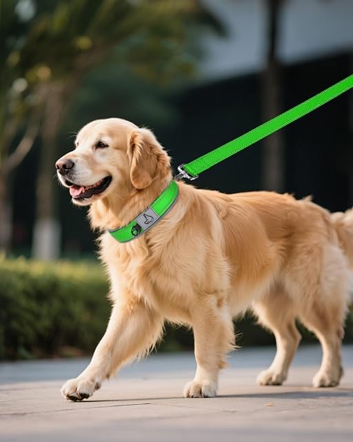 Foto 6 de 6 de Joytale Collar Perro Grande Resistente, Reflectante Ajustable de Acolchado Neopreno Nylon, Verde, XL