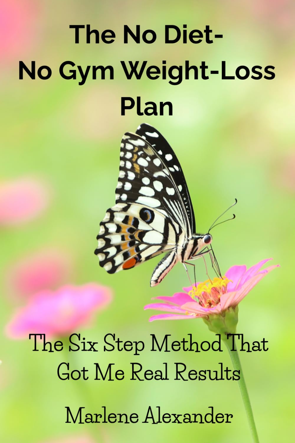 The No Diet No Gym Weight Loss Plan