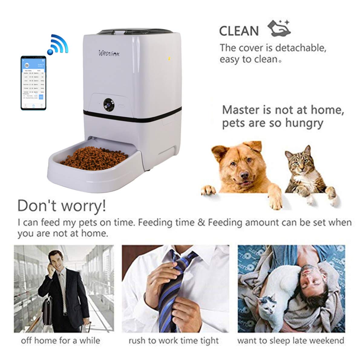 feral cat automatic feeder