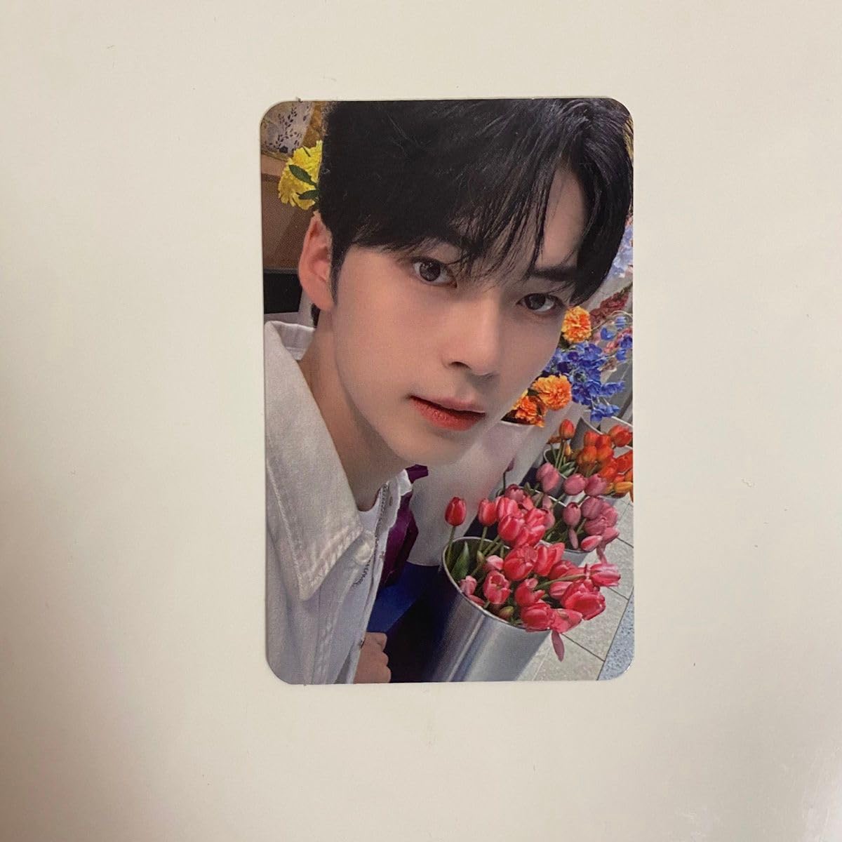 Amazon.co.jp: ZEROBASEONE ZB1 ハンビン ソンハンビン olive young  