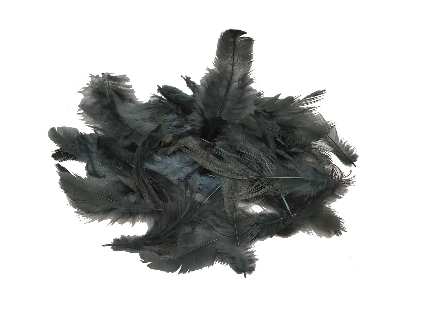 (Pack of 1) Natural Dyed Black Multi-Purpose Craft Feathers (Approximately 80pc) for Dream Catcher, Artificial Jewelry Making, Art & Craftworks, DIY Hobby Crafts, Kids Projectworks & Scrapbooking 3