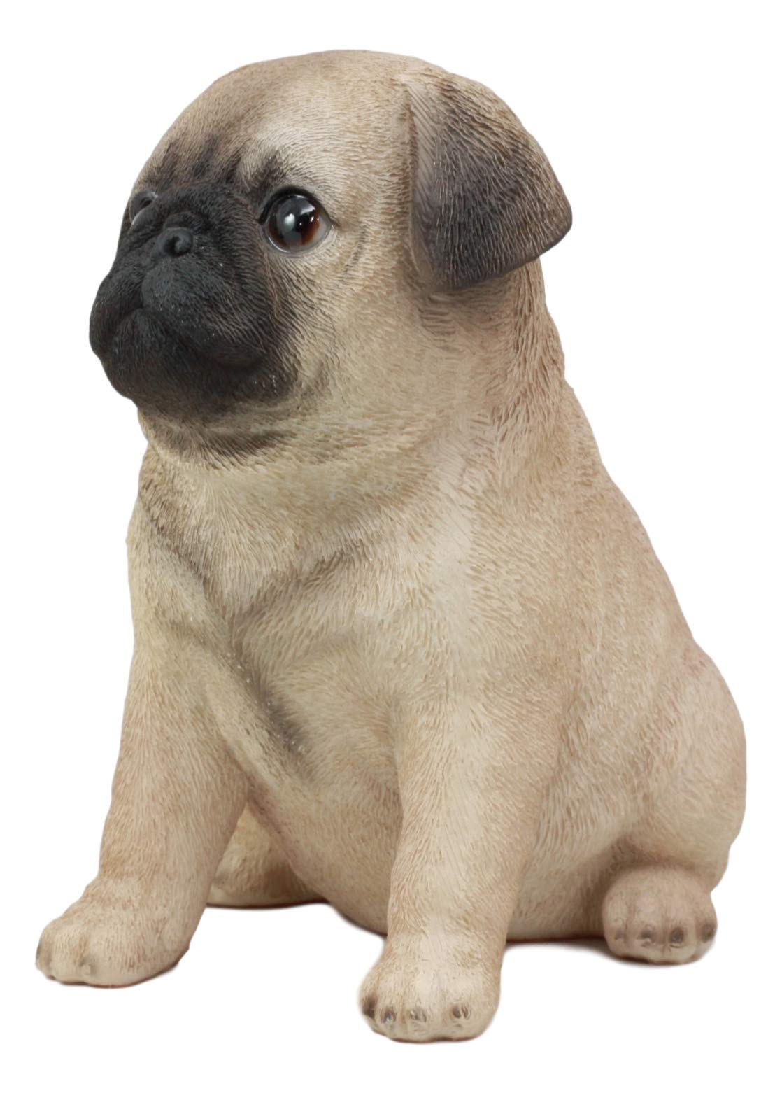 Amazon.co.jp: Ebros リアルな本物そっくり 愛らしいパグ 犬の像