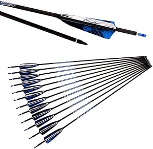 400 Spine Carbon Arrows - 25 Inch Hunting & Target Practice Arrows For Compound/Recurve Bows