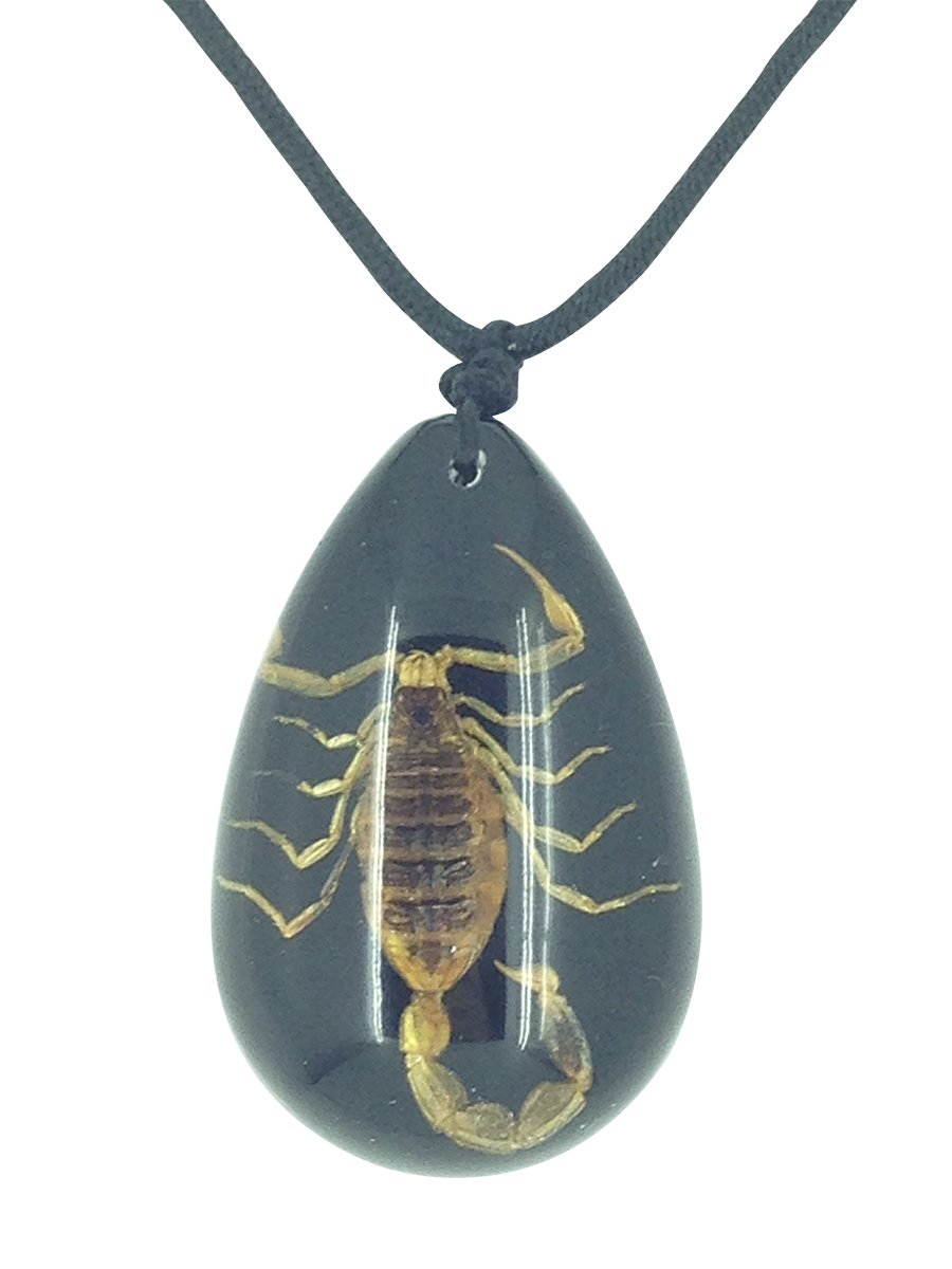 Real Scorpion Black Resin Pendant