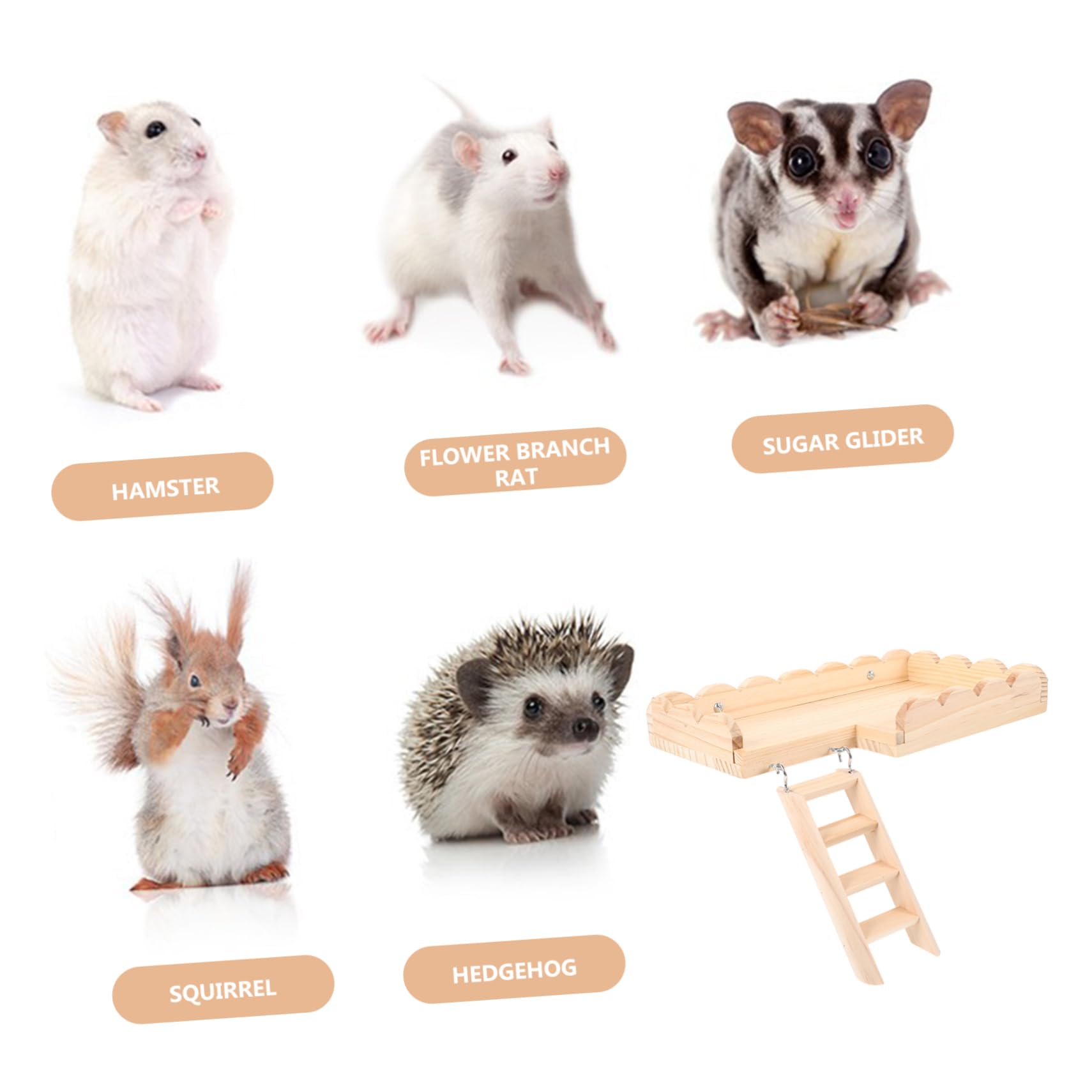 Toddmomy Hamsterplattform mit Kletterleiter Spielzeug für Kleintierkäfige Beißsichere Dekoration für Hamster und Rennmäuse