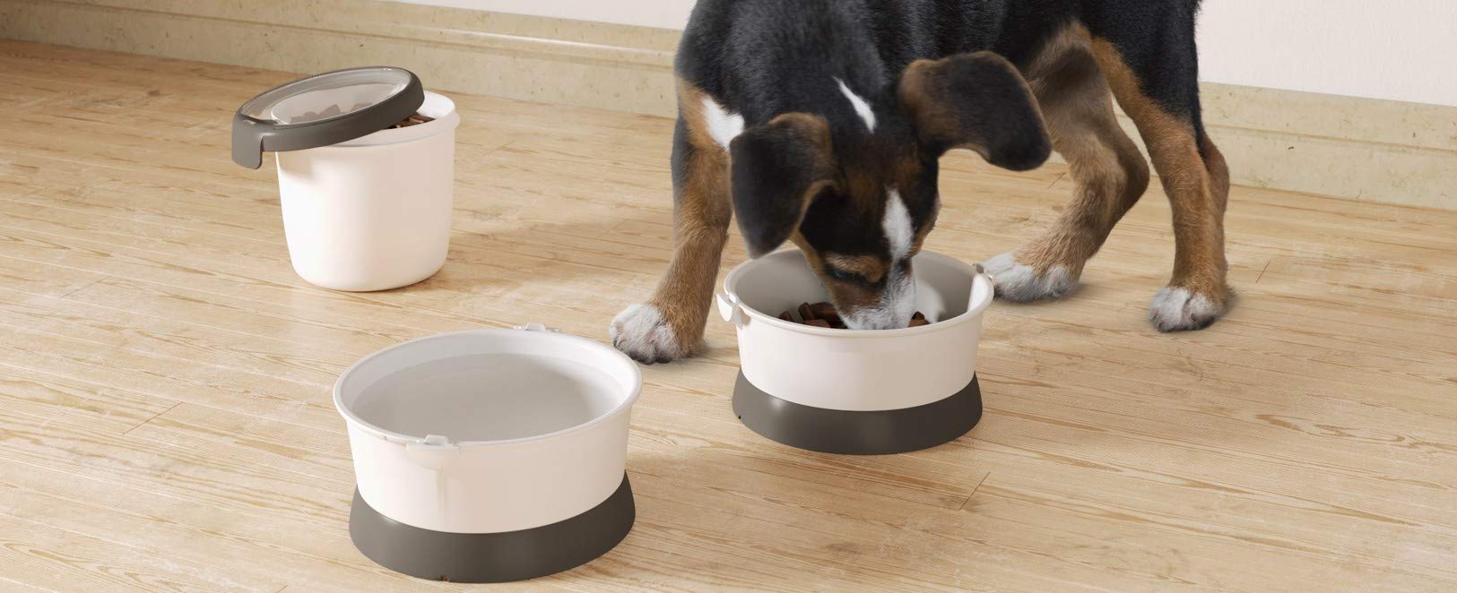 CURVER Pet Life Kit- Kit Nómada 1,5L, 2 comederos y 1 hermético; Almacenaje pienso; 19x18x18 cm; Recipiente comida para mascotas
