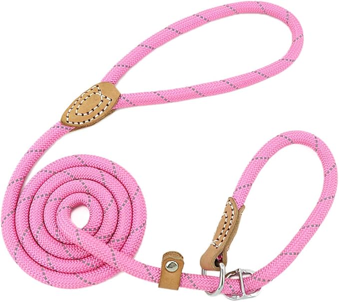Grand Line Durable Slip Lead Dog Leash, 1.5M Reflective Training Dog