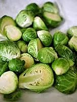 Heirloom Catskill Brussels Sprouts Seeds - Non-GMO, Early Sprouting, 25 Seeds, High-Yield Strong Stalks