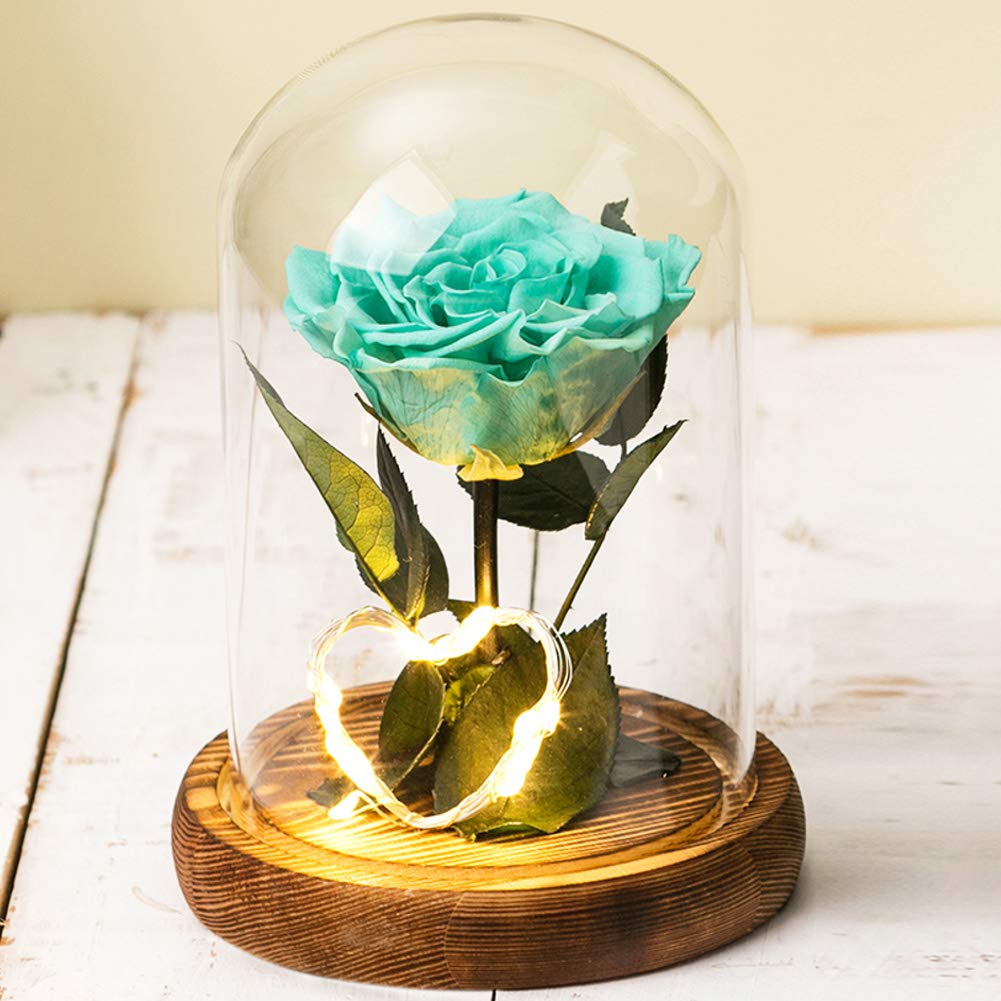 WJXBoosBeauty And The Beasts Rose,Eternal Rose In Glass,Preserved Roses With Heart Shaped Led Light,Enchanted Roses Gift For Birthday Anniversary Grandma-C 12 * 19cm