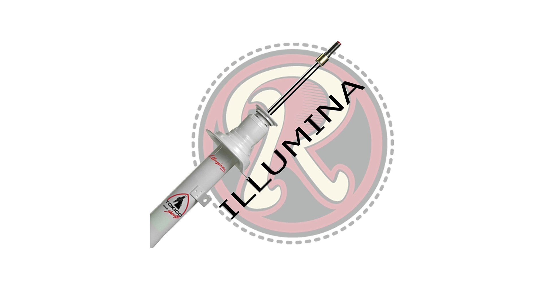 【moco】 Amazon.com: Votex - Oil Drain Plug Crush Washer fits