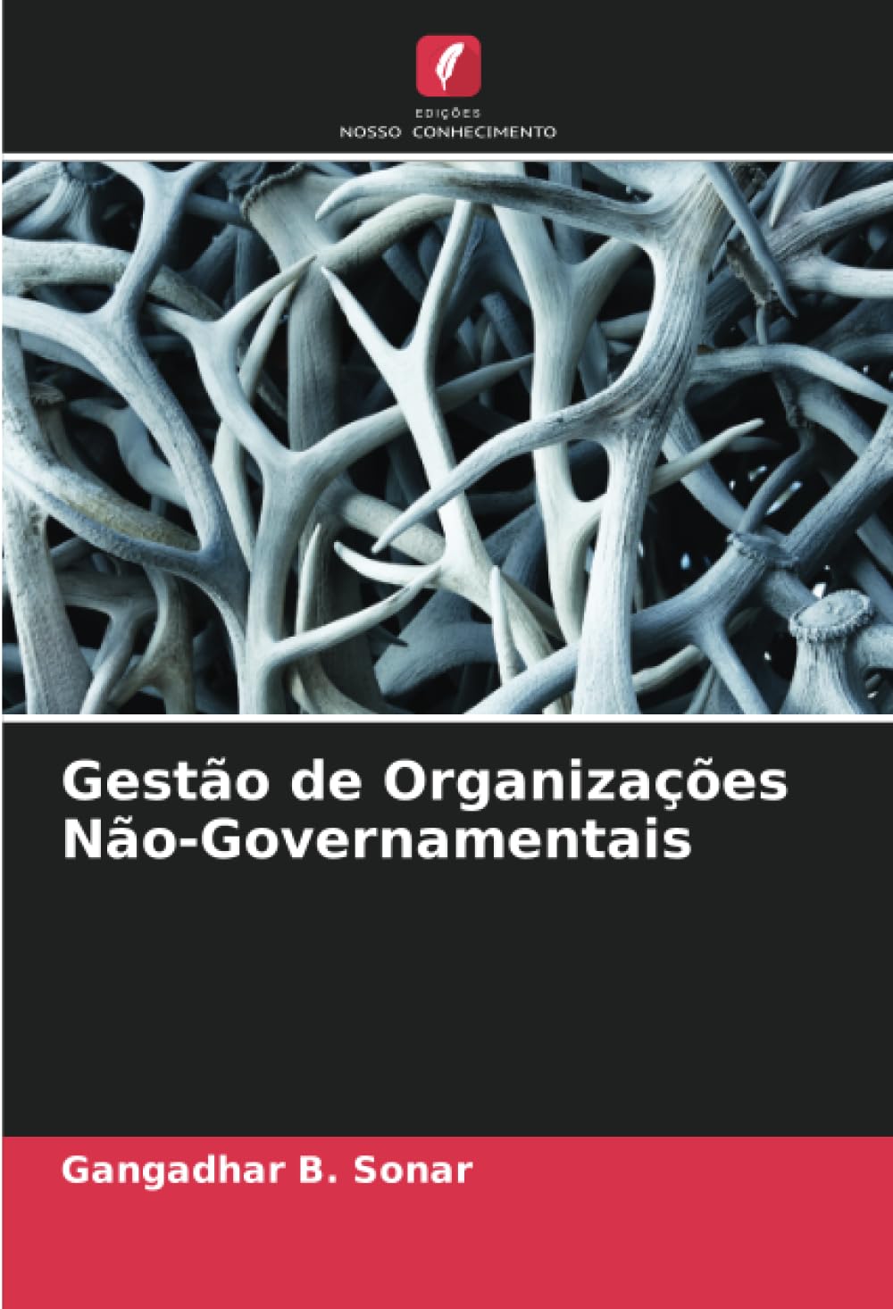 Gestão de Organizações Não-Governamentais