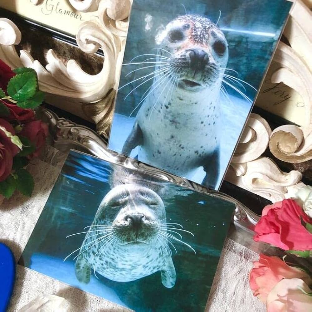 東京書芸館 あざらし本革 キャディバッグ カート式 超希少 アザラシ 海豹 東京書芸館 あざらし本革 キャディバッグ カート式 超希少 アザラシ