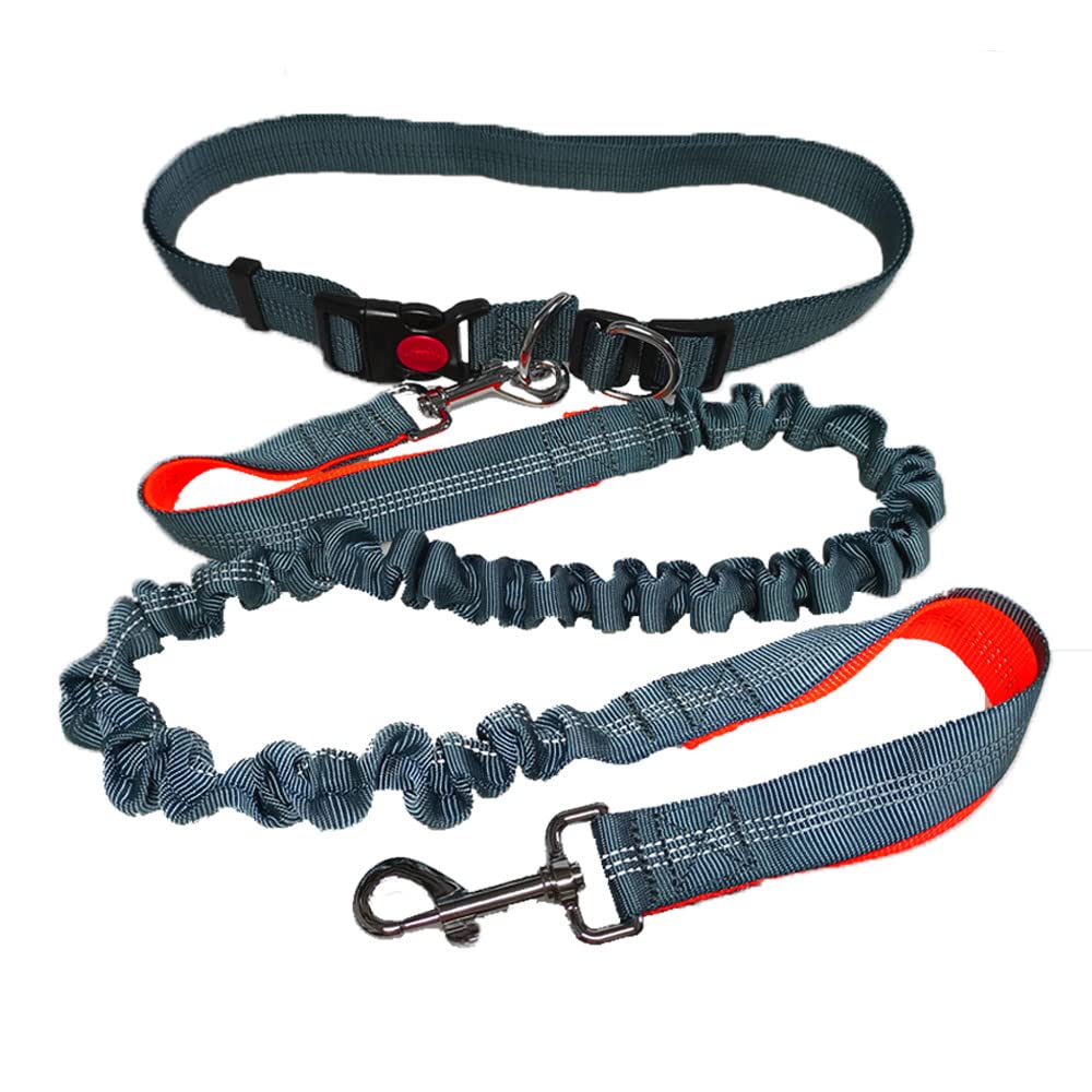 Guinzaglio A Mani Libere Per Cani - Con Cintura In Vita Regolabile E Guinzaglio Elastico | Per Jogging E Passeggiate - Foto 8