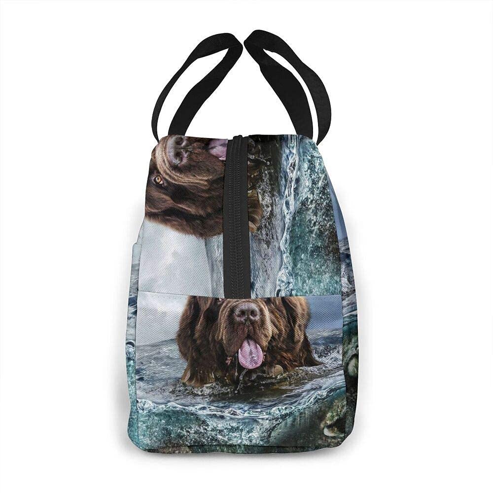 Borsa Pranzo Isotermica In Neoprene Nera, Impermeabile, Pieghevole, Capacità 30x15x30 Cm - 2