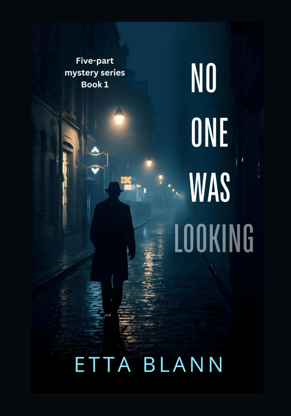 NO ONE WAS LOOKING (The Silent Cases)