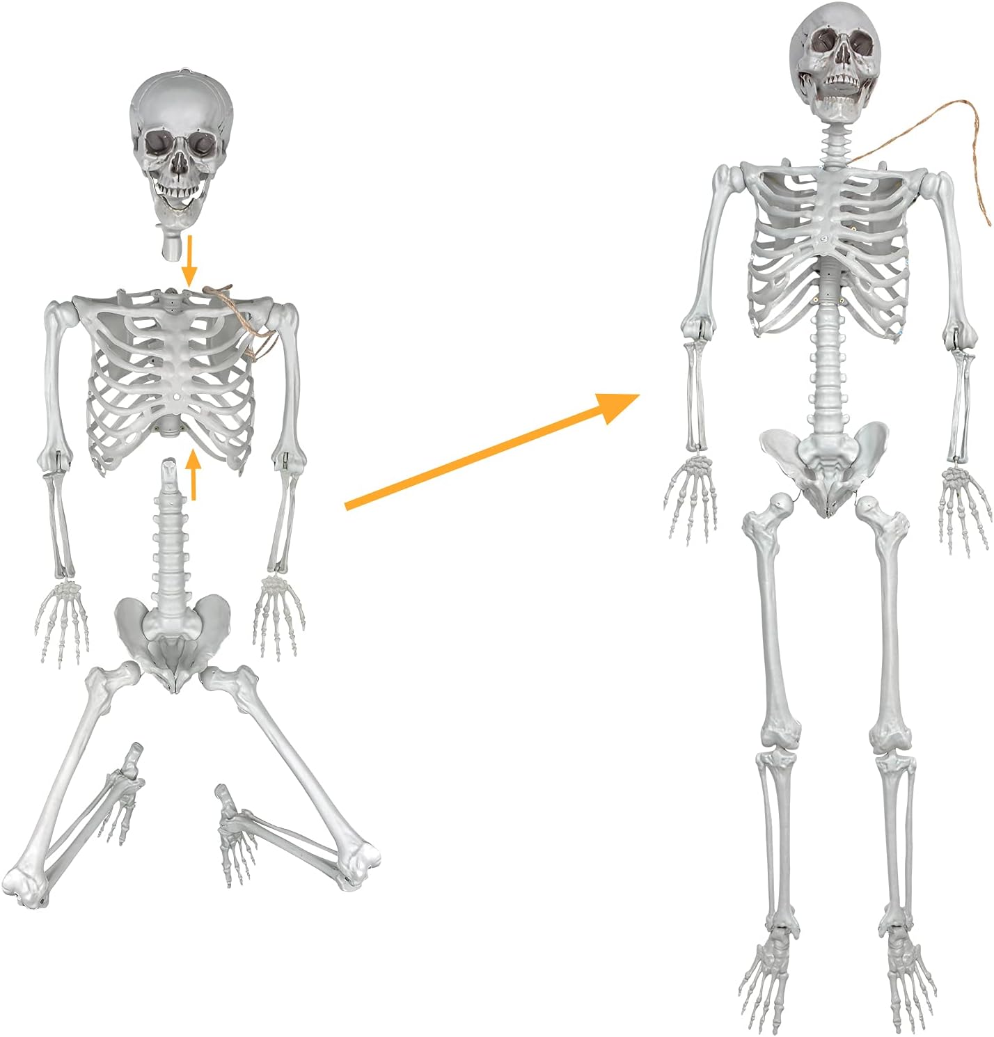5.4ft/165cm Halloween Skeleton,Life Size Skeleton Plastic Full Body Human Bones with Movable Joints for Halloween Patio Lawn Yard Garden Party Prop Decoration