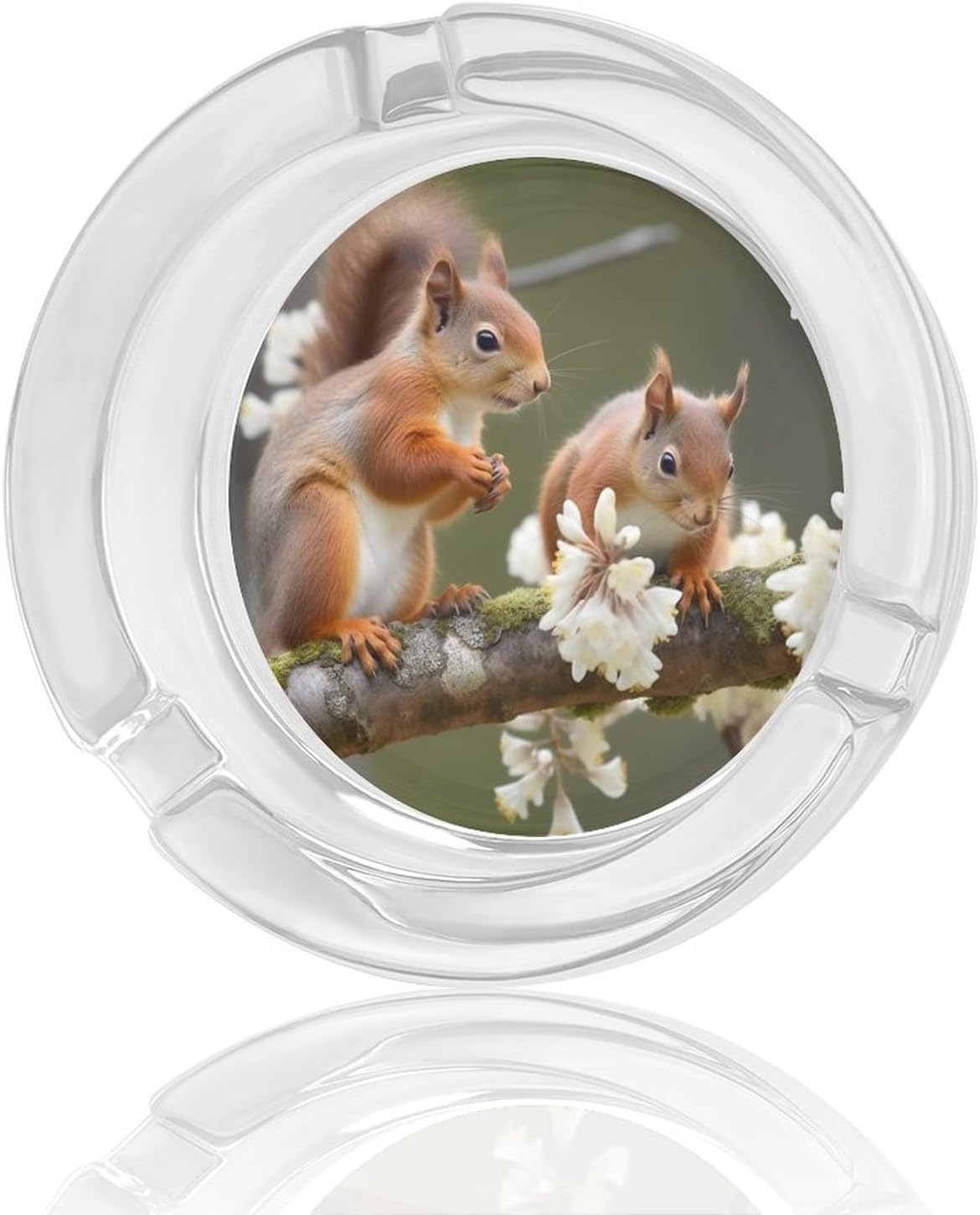 Glass Ashtrays,Squirrels Printed Round Ashtrays Portable Decorative Modern Ashtrays Non-slip Ashtrays for Home Office Indoor Outdoor