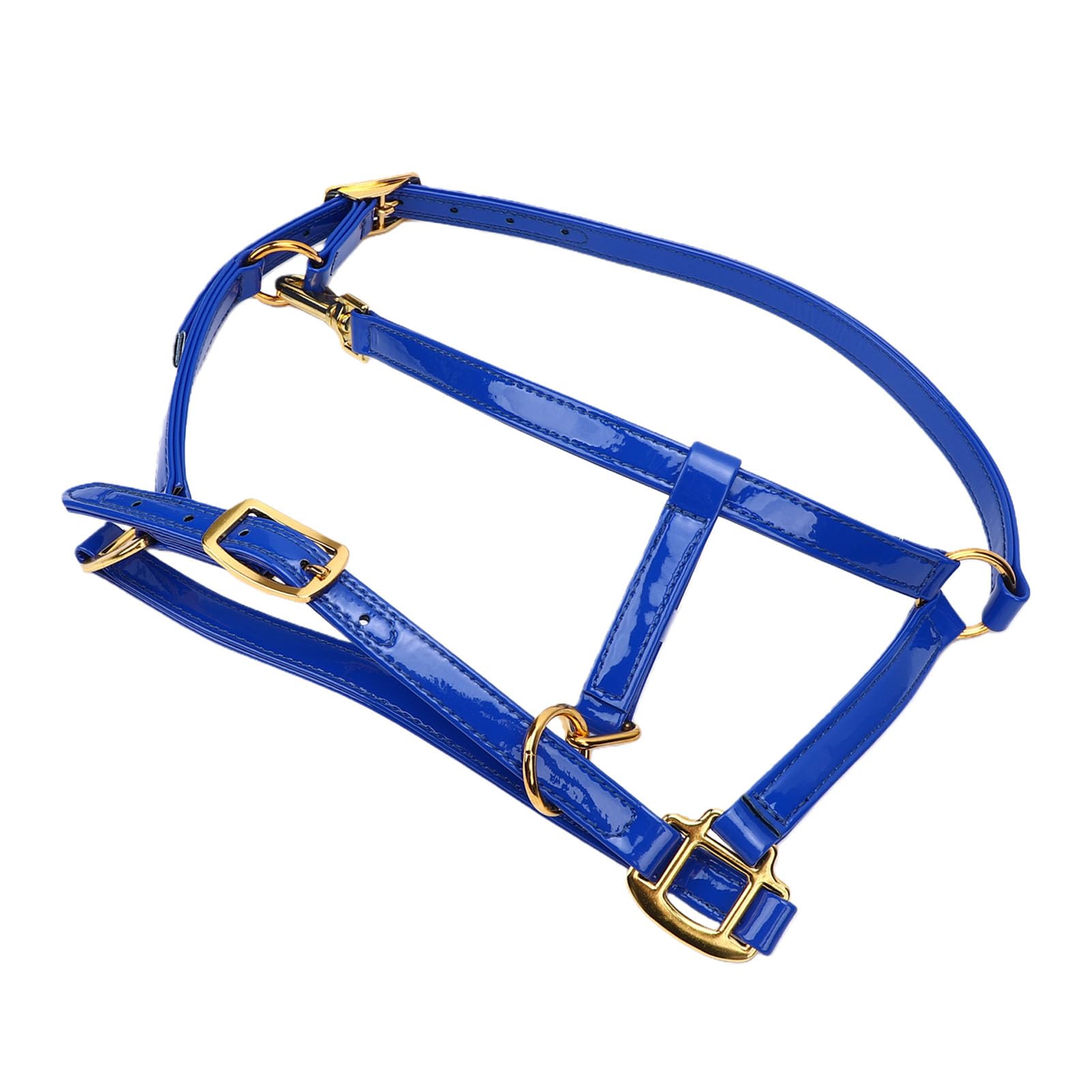 SIXRUN Briglia per Cavallo Testiera in Pelle Smaltata a Doppio Strato da 20 Mm con Fibbie Color Oro Resistente agli Odori Puntina Facile da Pulire per Allenamento Spettacoli di Equitazione