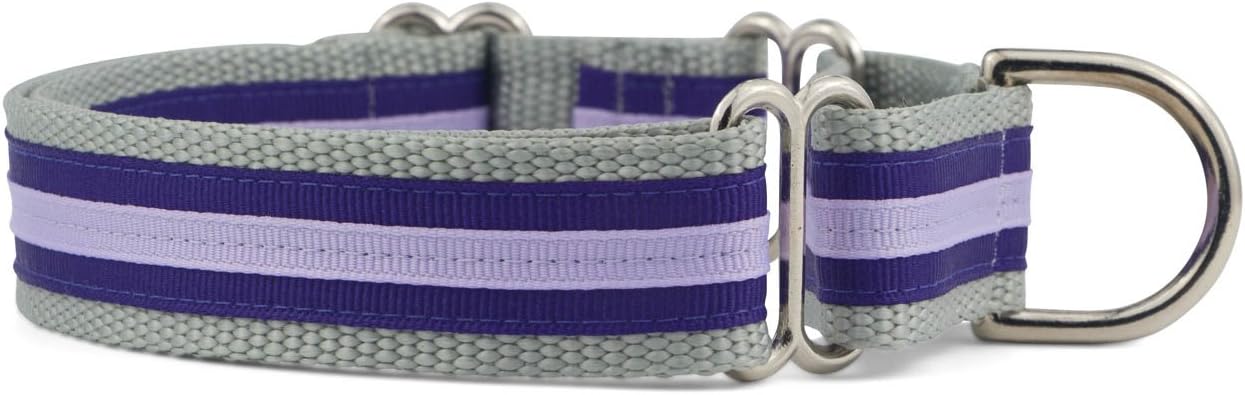 If It Barks 1" Layered Ribbon Martingale Dog Collar, Small, Purple Blush