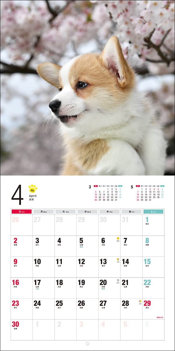 ブランド買うならブランドオフ コーギー カレンダー 23年 令和5年 暦 犬 いぬ ドッグ Dog Dog 動物 ペット 月めくり 犬種カレンダー Notimundo Com Ec