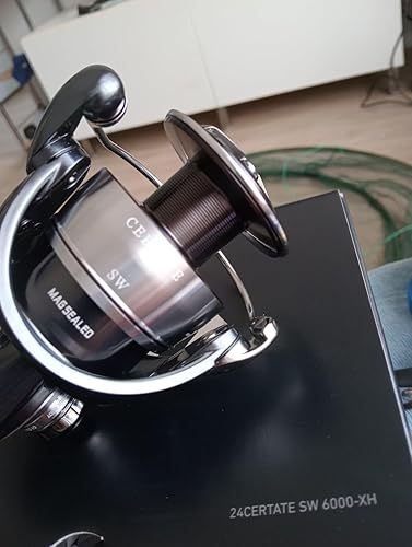 Daiwa SW 4000-H Large Spinning Reel, 24 Celtate : Amazon.com.au