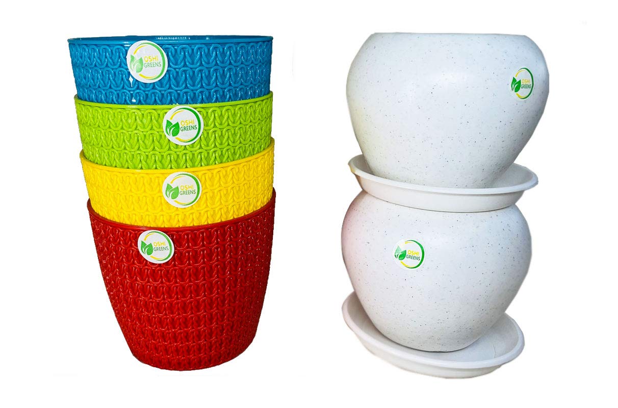 OshiGreens Round Flower pots - Pack of 4 Multicolor Table top Flower planters and 2 White pots with Tray 5 inches (B08KSDM6XJ) Amazon Price History, Amazon Price Tracker