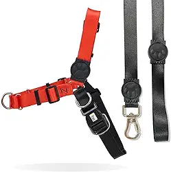 Peitoral Antipuxão para Cachorro com guia (M, Coral)