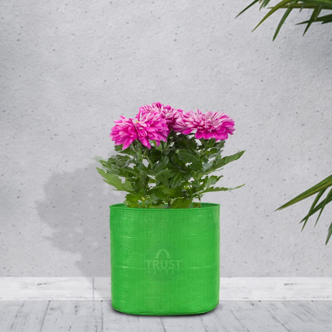 TrustBasket UV Treated Round Terrace Gardening Leafy Vegetable HDPE Grow Bags for Balcony (Set of 10)-9 * 9 inch | Washable and Reusable Plant Container Bags (B08R3BJQ7K) Amazon Price History, Amazon Price Tracker