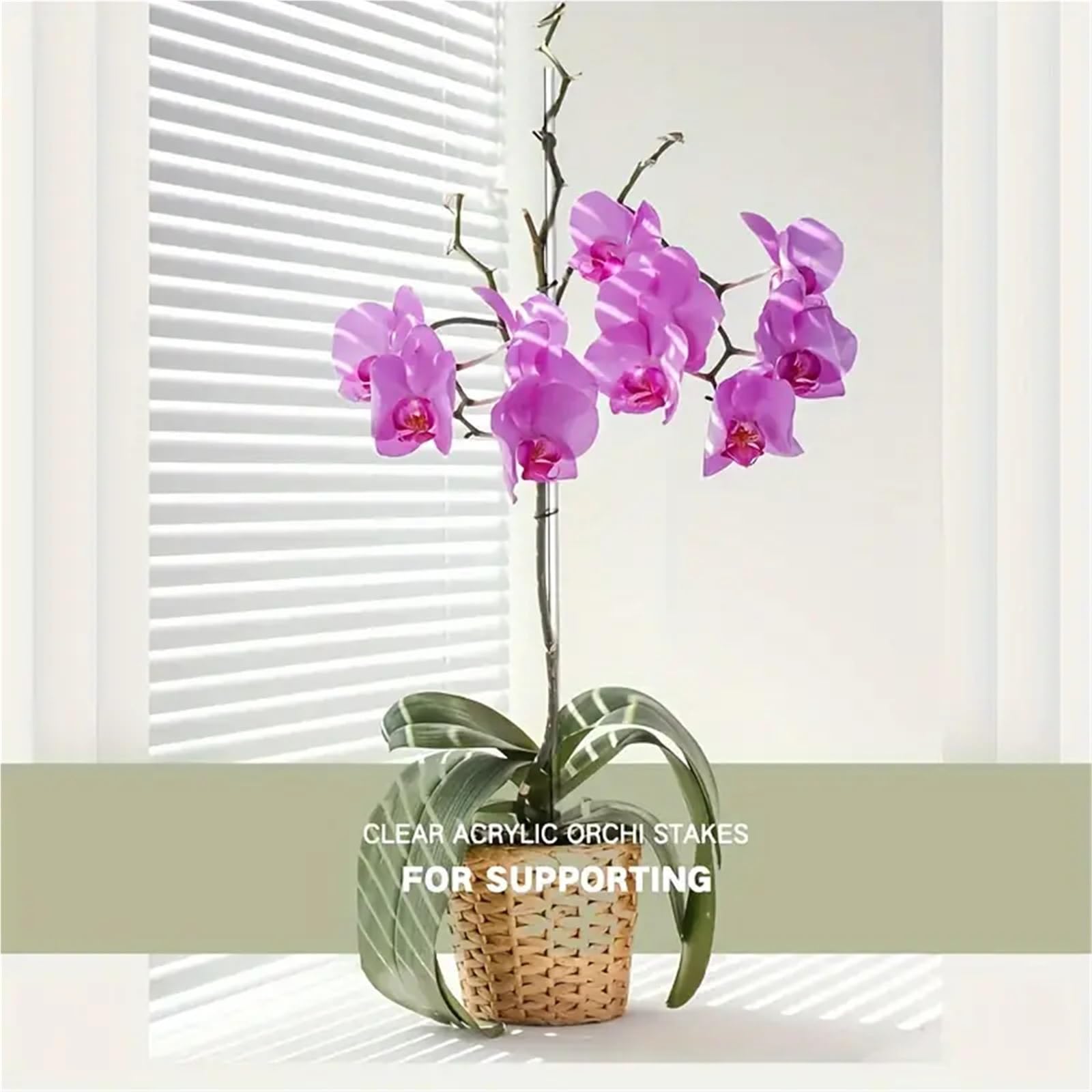 Tuteur Plante 8/15 Tuteurs Transparents de 15,6 Pouces for orchidées Jardin(15pcs)