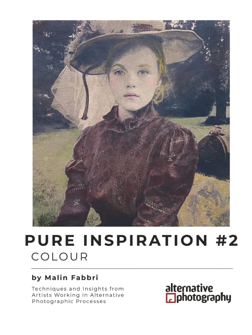 Pure Inspiration #2: Colour: Techniques and Insights from Artists Working in Alternative Photographic Processes (Inspiration for Alternative ... gum bichromates, platium prints and more)