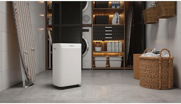 Foto del Deshumidificador