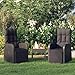 vidaXL Gartensessel 2 STK., Gartenstuhl mit Kissen Verstellbar, Stuhl mit Liegefunktion, Terrassenstuhl Gartenmöbel, Schwarz Poly Rattan