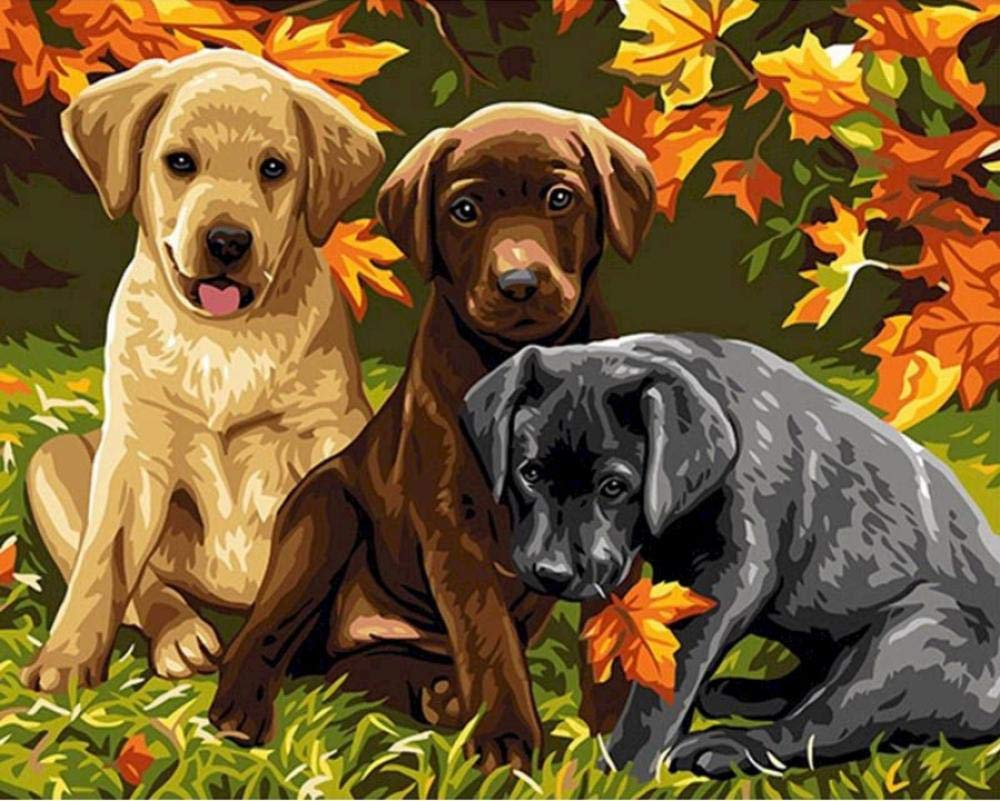 Peinture par numéros de chiens pour décorer votre salon chaleureux