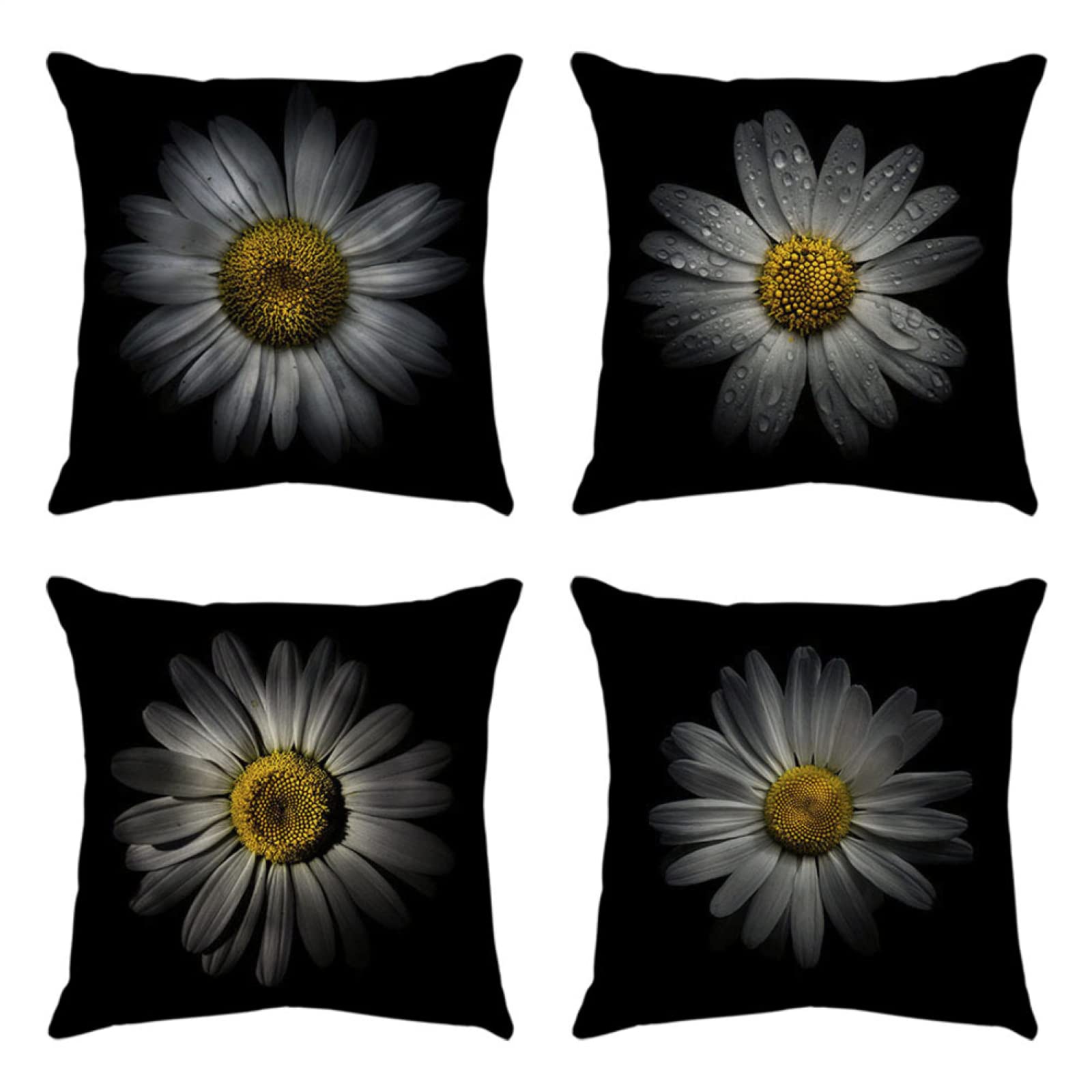 4 Piezas Funda de Almohada Margarita Negra Fundas de Cojín Terciopelo Sencillo y Decorativo para Sofá Camas Dormitorio Coche Lino Cojines Throw Pillow Covers 80x80cm/32x32 Inch