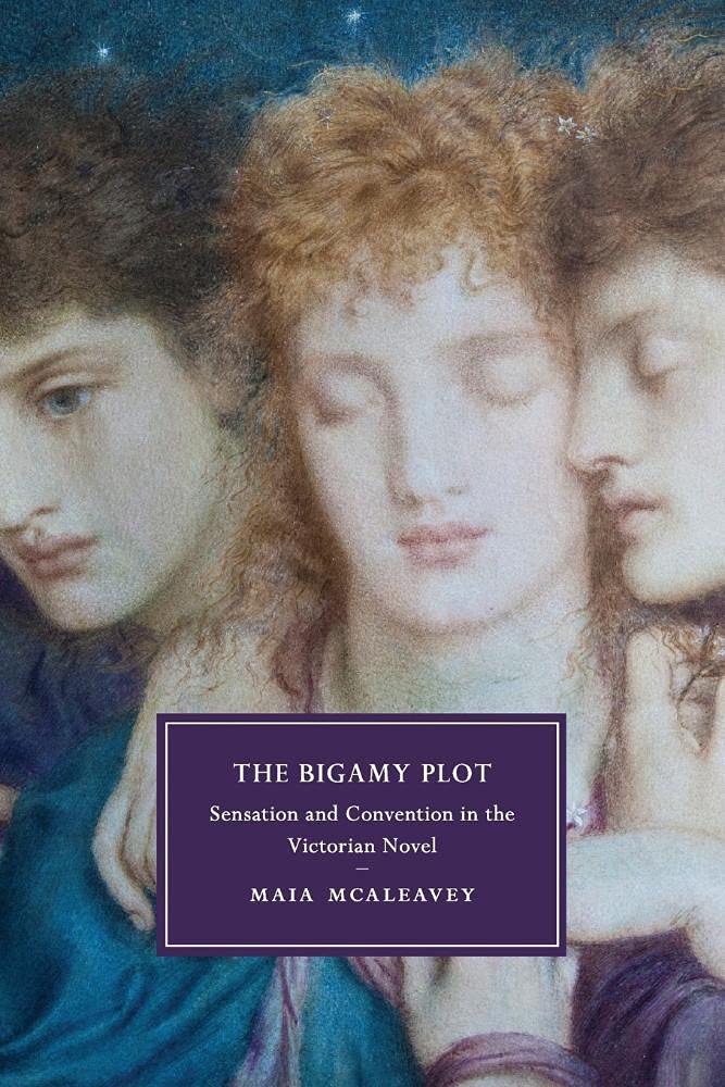 The Bigamy Plot: Sensation And Convention In The Victorian Novel: 100 (Cambridge Studies in Nineteenth-Century Literature and Culture, Series Number 100)