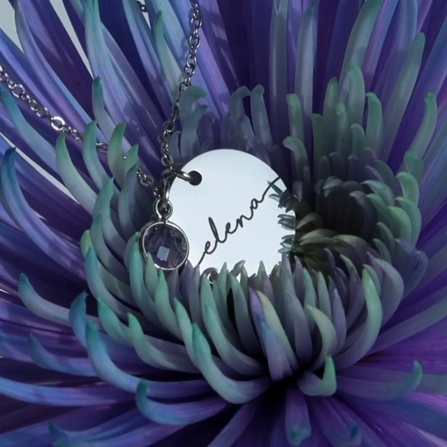 Personalized-Birthstone-Name-Necklace-Gold-Plated-Disc-Pendant-Charm-Custom-Jewelry-Gift-for-Women-Birthday-and-Holiday-Necklace-Personalized-Gifts-for-New-Moms-CN-BS-SH