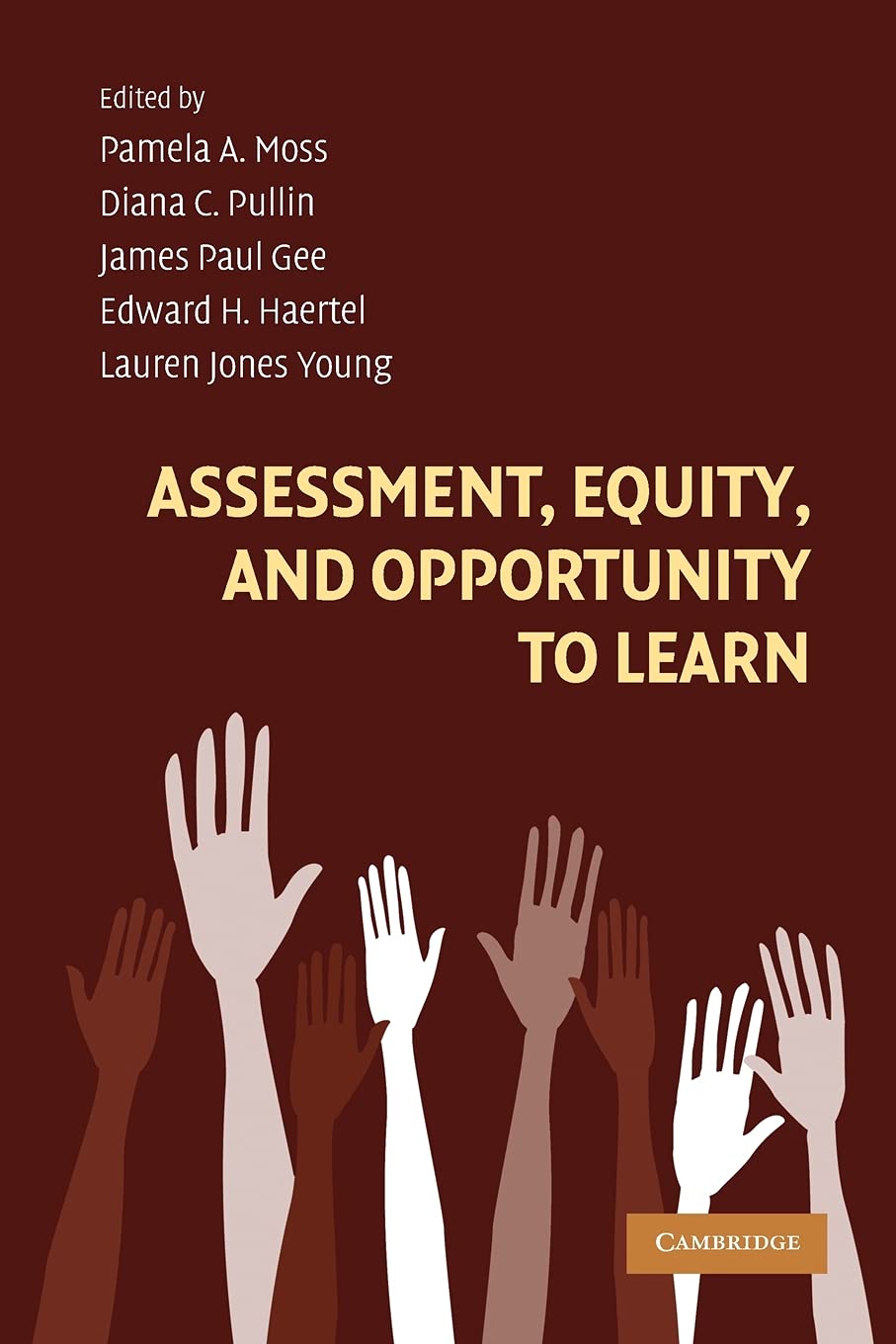 Assessment, Equity, and Opportunity to Learn (Learning in Doing: Social, Cognitive and Computational Perspectives)