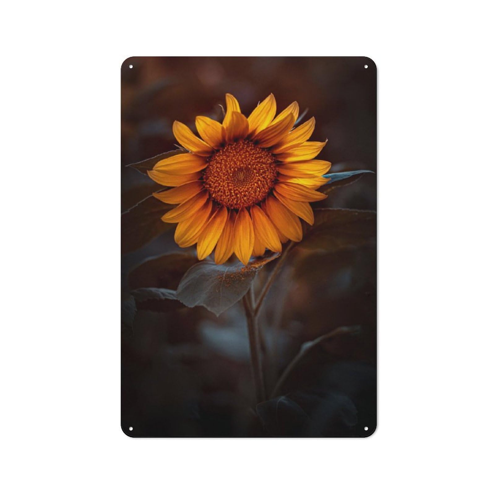 Junmoney Sunflower 5 Retro-Style Metal Plaque 30X20cm For Kitchen Or Home Bar, Gift For Home Bar Enthusiasts During The Christmas Season