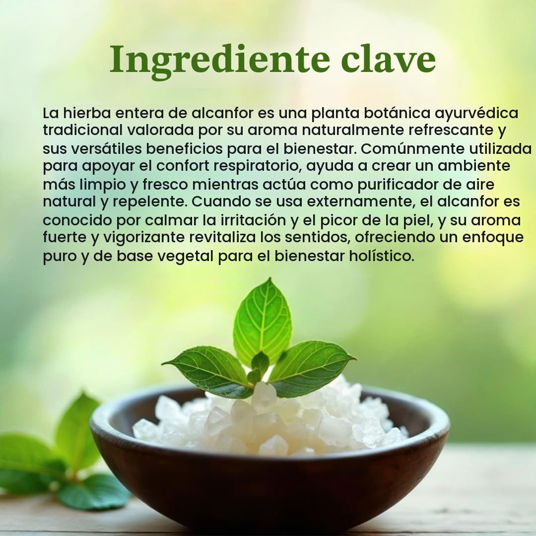 Kapoor Powder | Polvo de alcanfor - 250 g