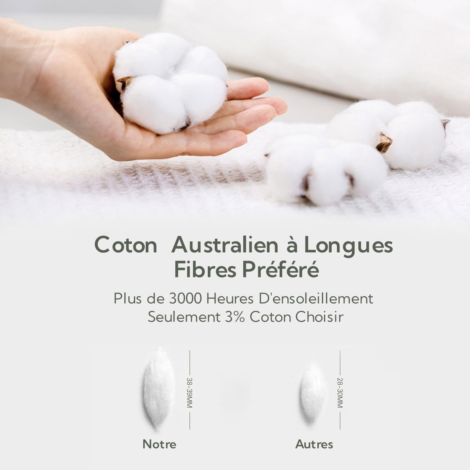 MILDLY Housse de Couette 220x240 Coton - Certifié Öeko-Tex - Vert Sauge | Housse de Couette avec Fermeture Éclair, 100% Coton Lavé, Texture Lin, Parure de Lit avec 2 Taies d'oreiller 65x65 cm