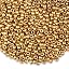 B11-Gold